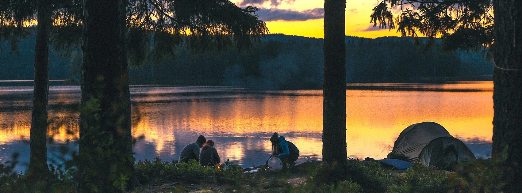 WildBounds Online Shop -WildBounds Online Shop 89349953 2949790468404512 4176527662937800704 n