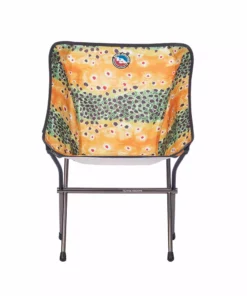Big Agnes Mica Basin Camp Chair