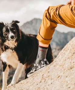 Darn Tough Hiker Boot Midweight | Cushion | Women's