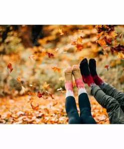 Darn Tough Number 2 Micro Crew Midweight W/ Cushion | Men's