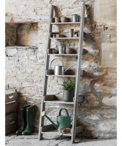 Garden Trading Aldsworth Shelf Ladder | Small Home, Garden & Cooking