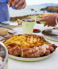 Hydro Flask 10-inch Plate New