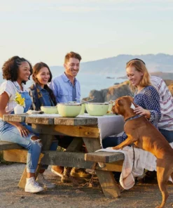 Hydro Flask 3 Qt Serving Bowl W/ Lid New 20 Hydro Flask 3 Qt Serving Bowl W/ Lid New