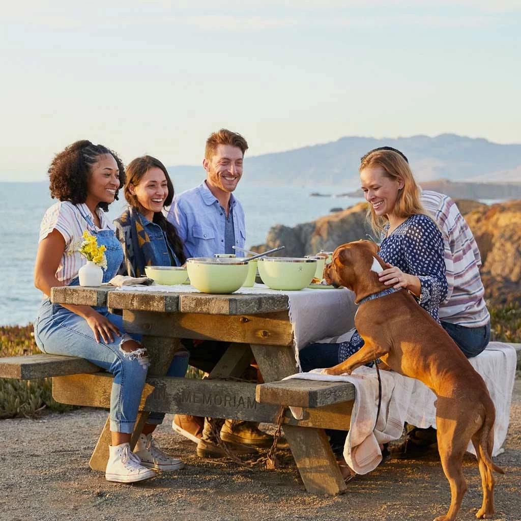 Hydro Flask 3 Qt Serving Bowl W/ Lid New 10 Hydro Flask 3 Qt Serving Bowl W/ Lid New