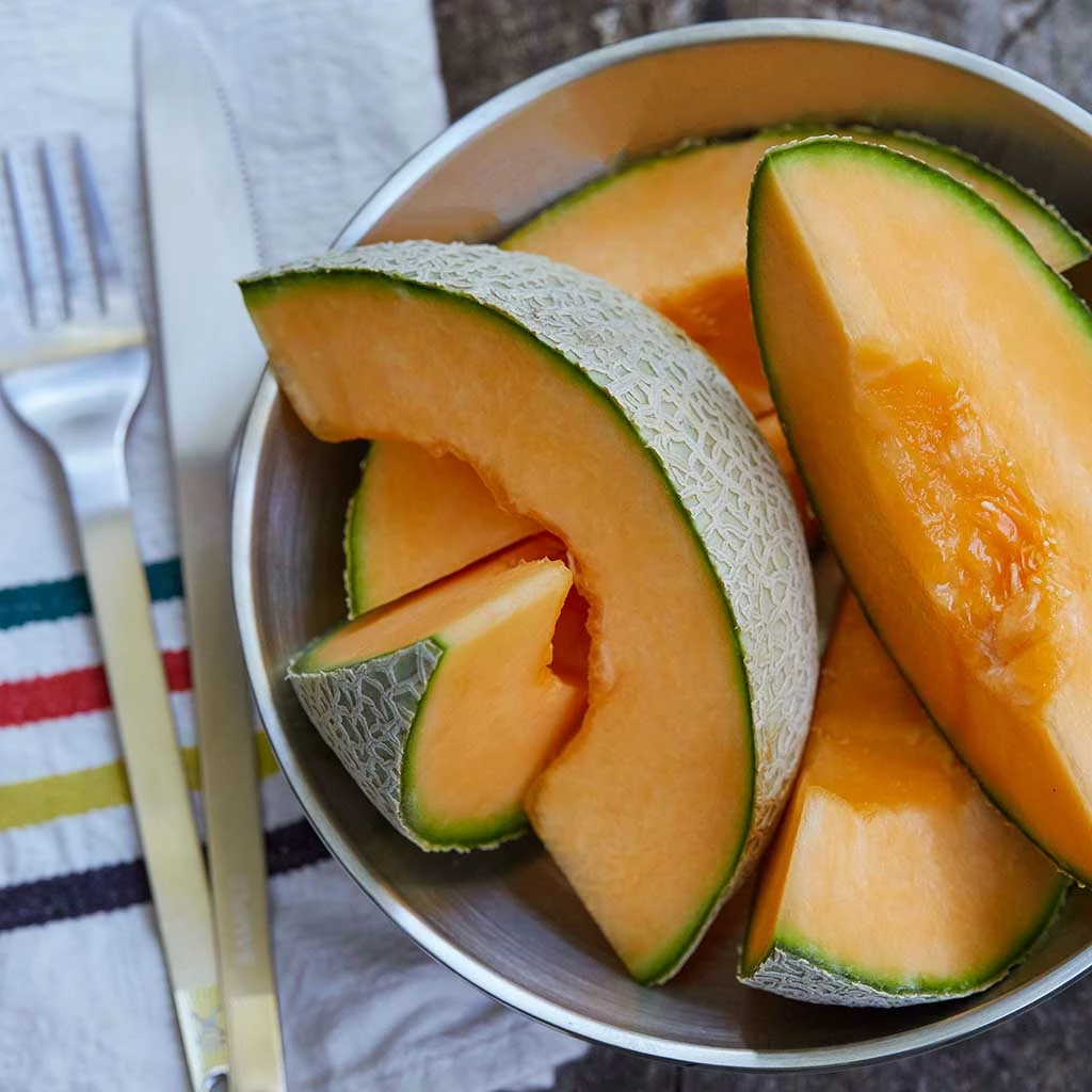 Hydro Flask 3 Qt Serving Bowl W/ Lid New 6 Hydro Flask 3 Qt Serving Bowl W/ Lid New