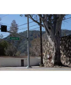 KAVU Hit The Road Short | Men's New