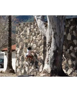 KAVU Hit The Road Short | Men's New