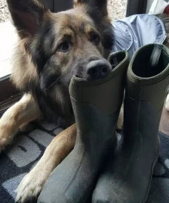 Muck Boots Co Muckmaster Mid Wellington