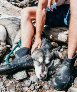 Muck Boots Co Muckster II Ankle Shoe - Men's