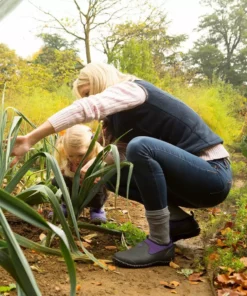 Muck Boots Co Muckster II Low Shoe | Men's