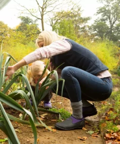 Muck Boots Co Muckster II Low Shoe | Men's