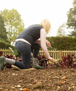 Muck Boots Co Muckster II Low Shoe | Women's