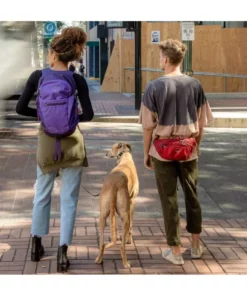 Osprey Bags & EDC Daylite Waist