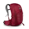 Osprey Bags & EDC Talon 22 Backpack | Men's