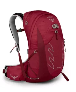 Osprey Bags & EDC Talon 22 Backpack | Men's