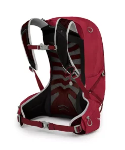 Osprey Bags & EDC Talon 22 Backpack | Men's