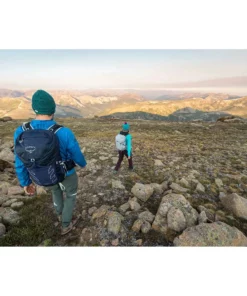 Osprey Talon 22 Backpack | Men's