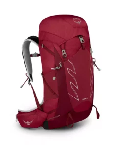 Osprey Talon 33 Backpack | Men's Bags & EDC