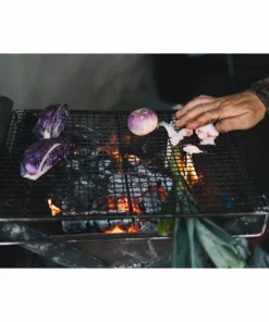 Primus Kamoto OpenFire Pit 20 Primus Kamoto OpenFire Pit