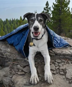 Rumpl Original Puffy Blanket | Lake Tahoe