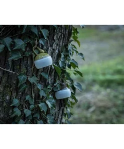 Snow Peak Camping Kit Mini Hozuki Lantern