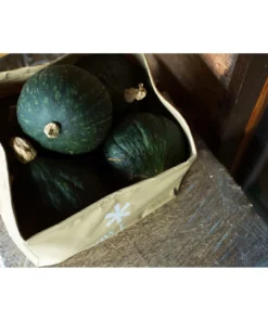 Snow Peak Pack Bucket