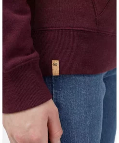 Tentree Clothing TreeFleece Blocked Banshee Hoodie | Women's