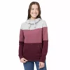 Tentree Clothing TreeFleece Blocked Banshee Hoodie | Women's